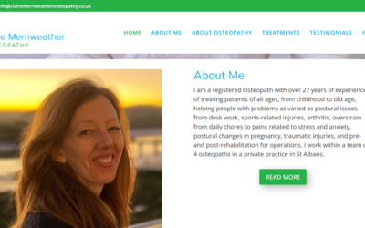 WordPress Website Rescue: Fixing 2,229 Spam Posts